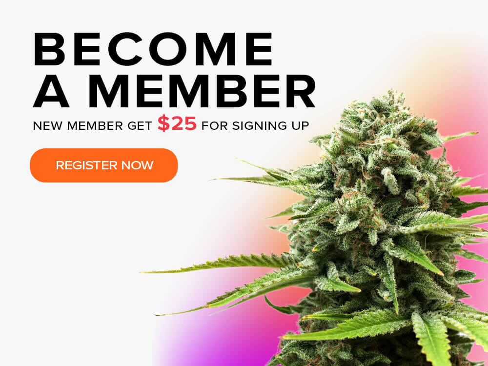 become a member banner